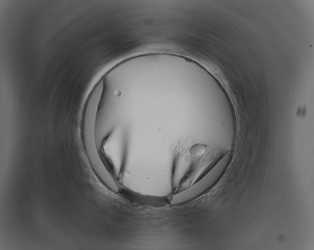 X0000096990912200803071050