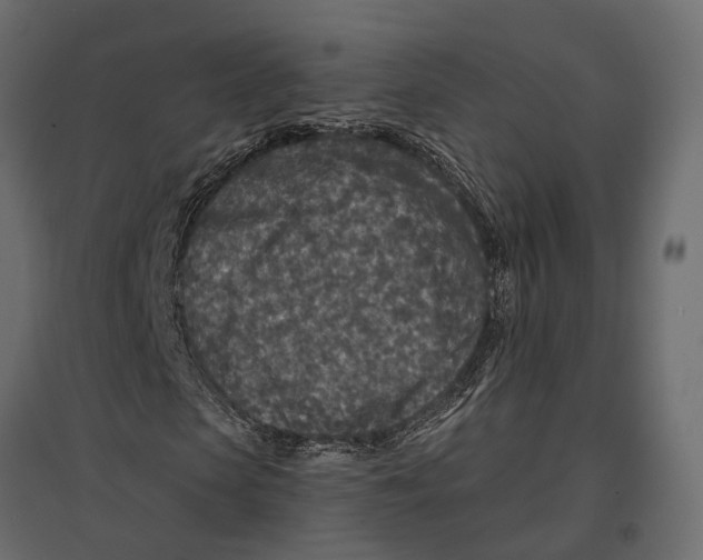 X0000096990913200803071050