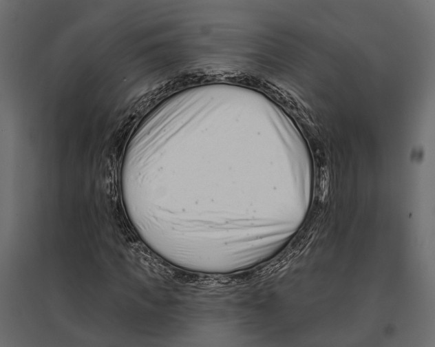 X0000096990917200803071050