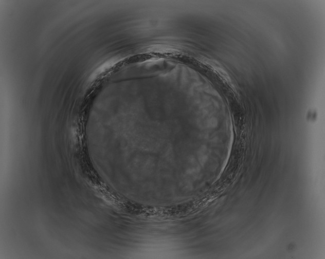 X0000096990920200803071050