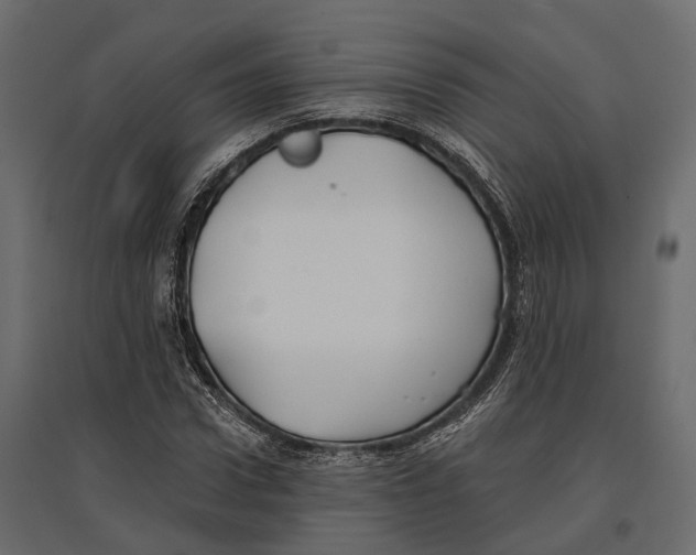 X0000096990922200803071050