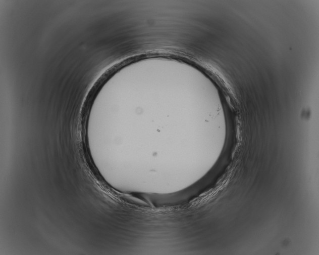 X0000096990924200803071050