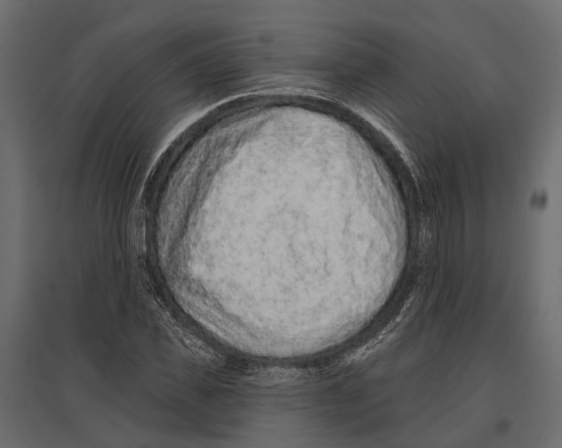 X0000096990925200803071050