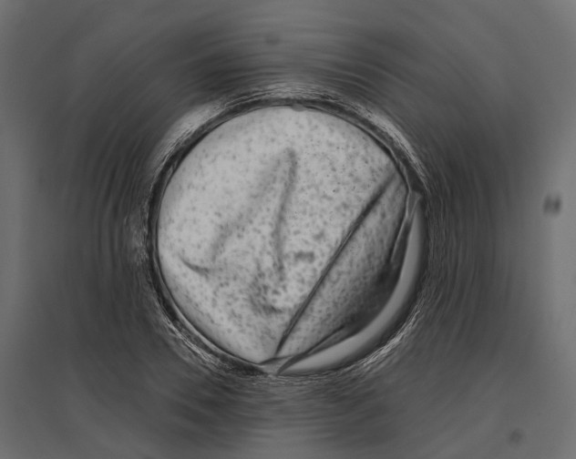 X0000096990930200803071050