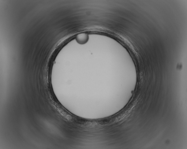 X0000096990931200803071050