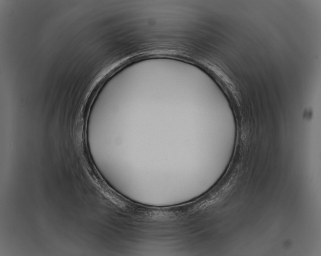 X0000096990933200803071050