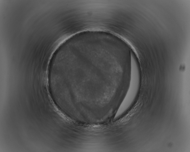 X0000096990935200803071050