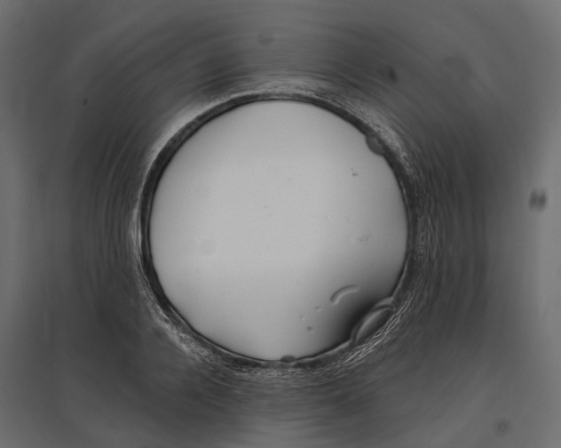 X0000096990936200803071050