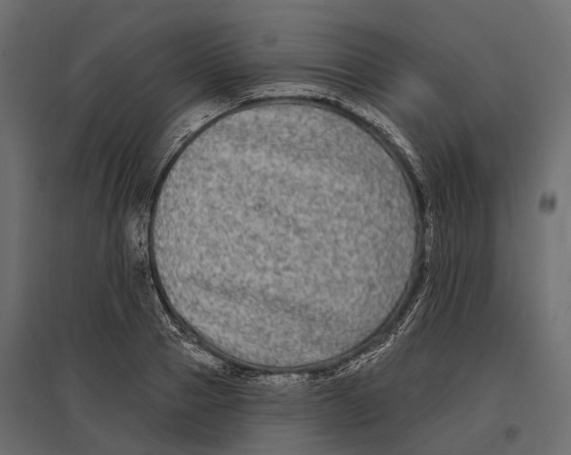 X0000096990937200803071050