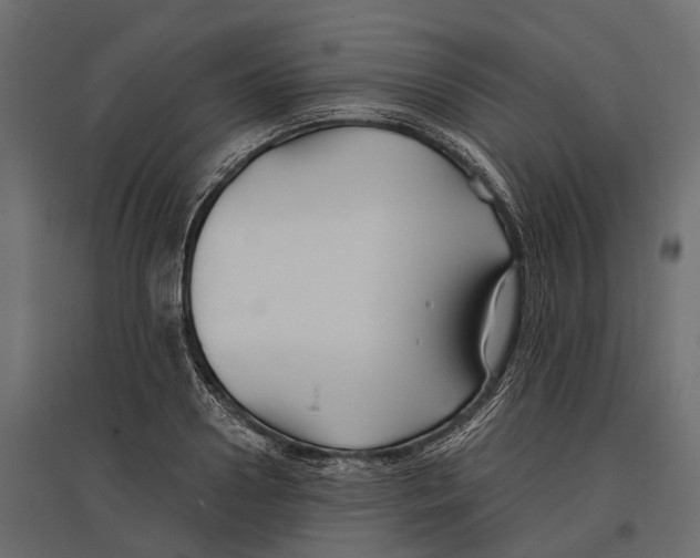 X0000096990938200803071050