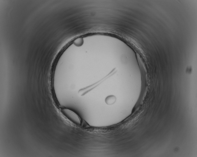 X0000096990942200803071050