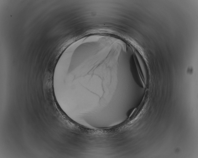 X0000096990945200803071050