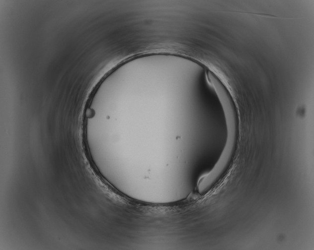 X0000096990949200803071050