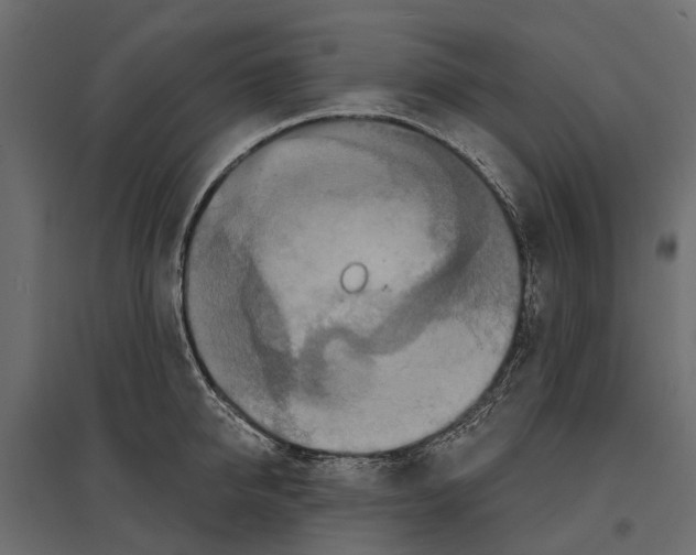 X0000096990950200803071050