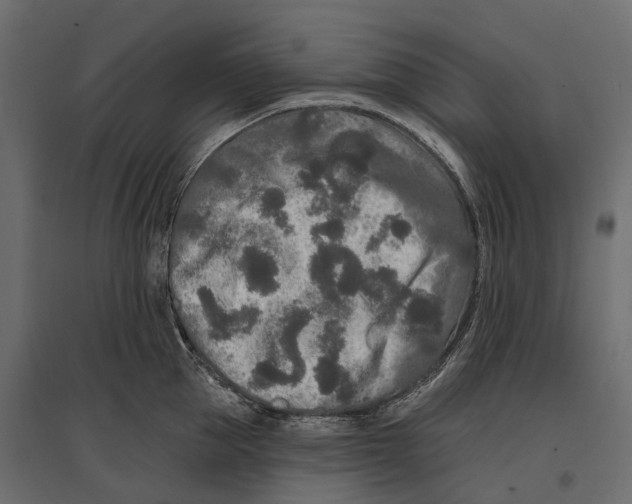 X0000096990953200803071050