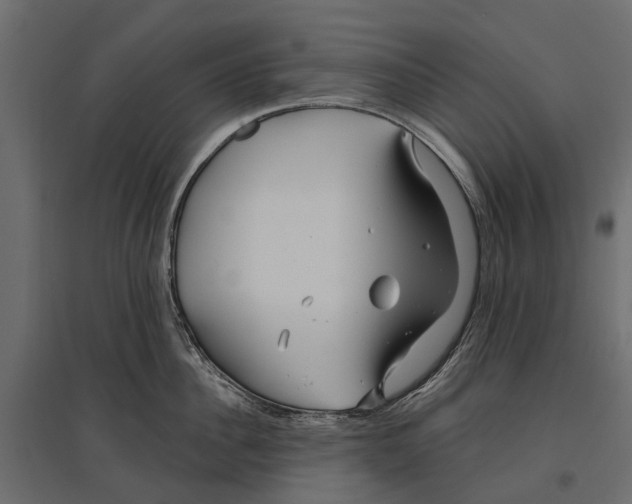 X0000096990956200803071050