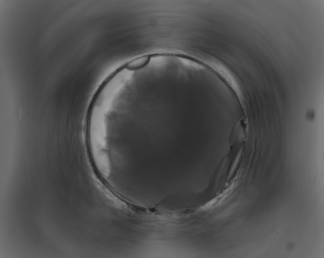 X0000096990958200803071050