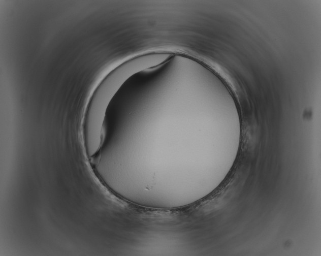 X0000096990959200803071050