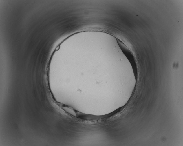 X0000096990960200803071050