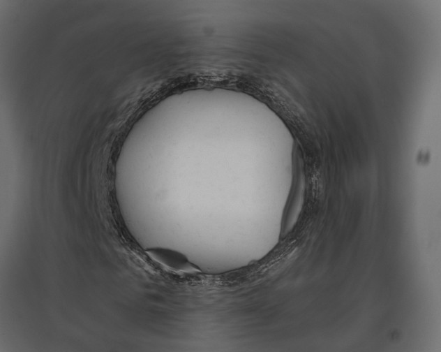 X0000096990961200803071050