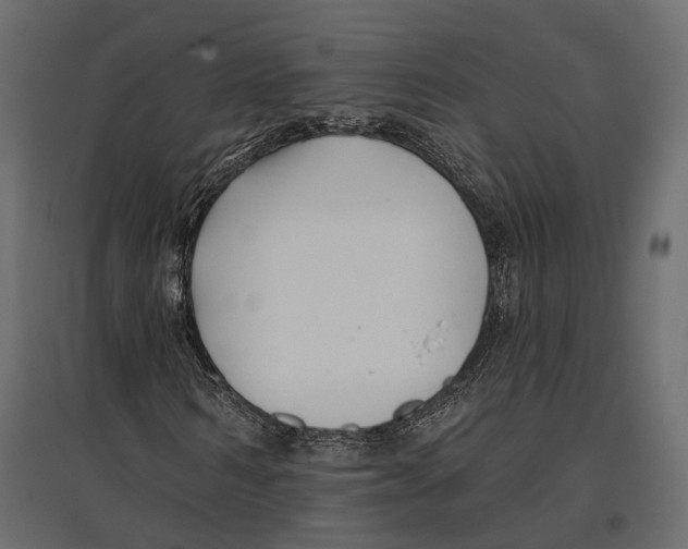 X0000096990962200803071050