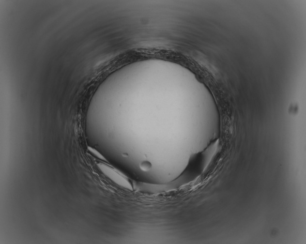 X0000096990965200803071050