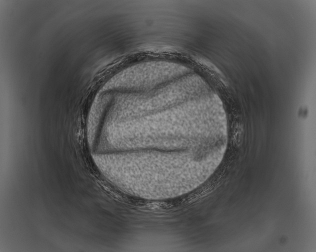 X0000096990966200803071050