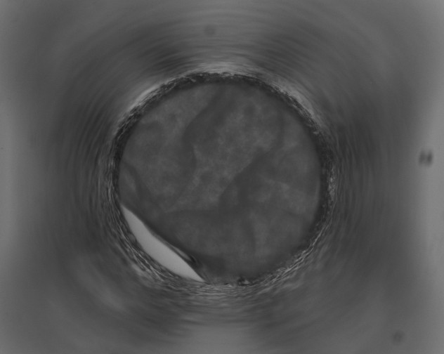 X0000096990968200803071050