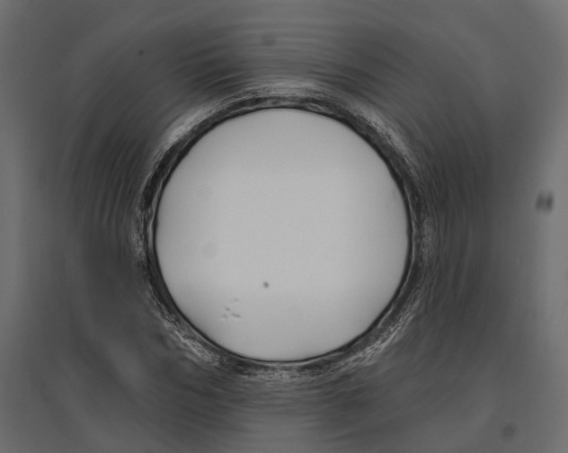 X0000096990970200803071050