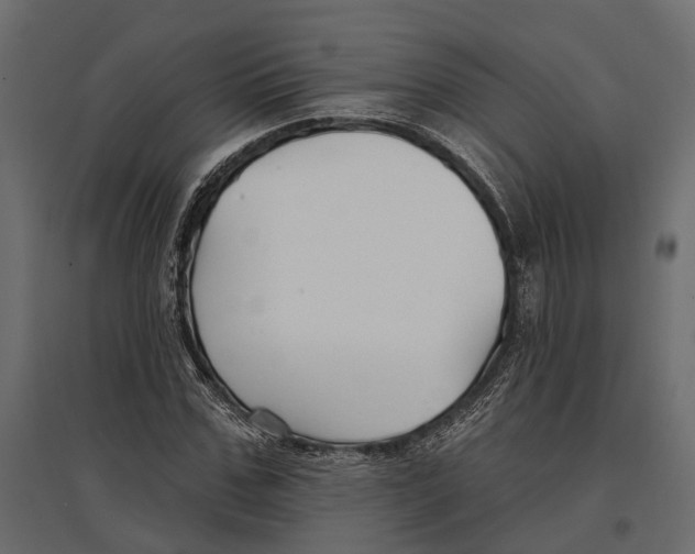 X0000096990971200803071050