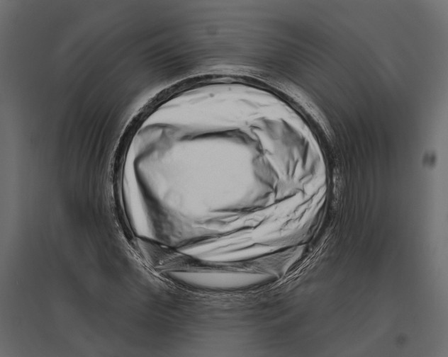 X0000096990972200803071050