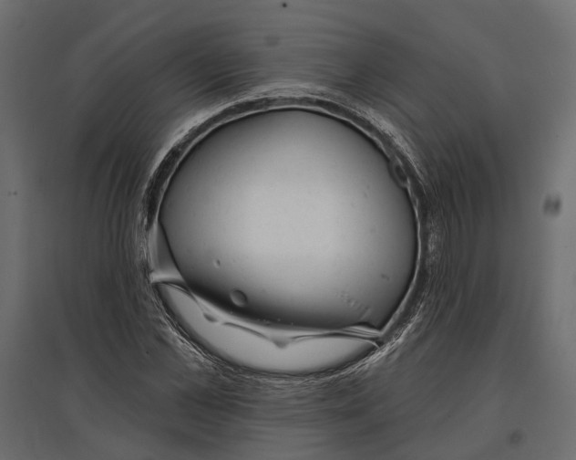 X0000096990973200803071050