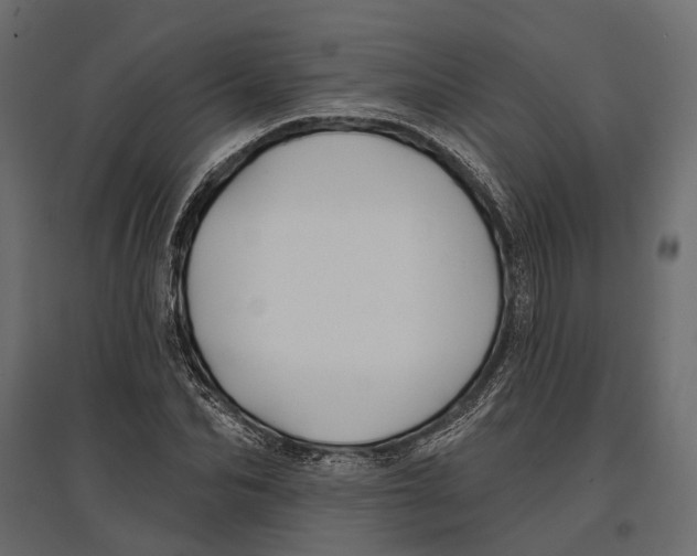 X0000096990974200803071050