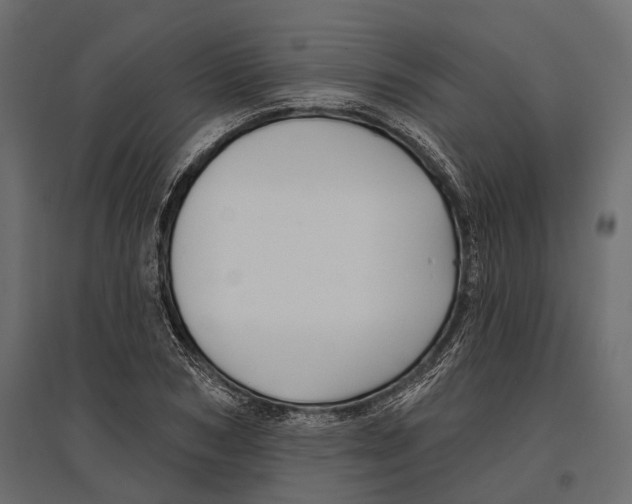 X0000096990978200803071049