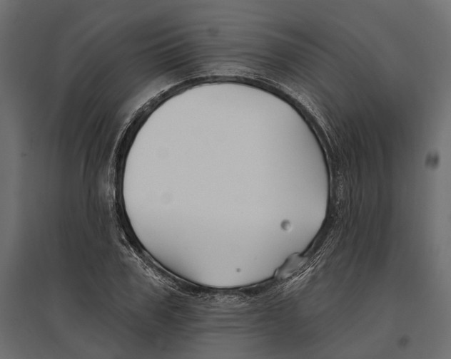 X0000096990979200803071049