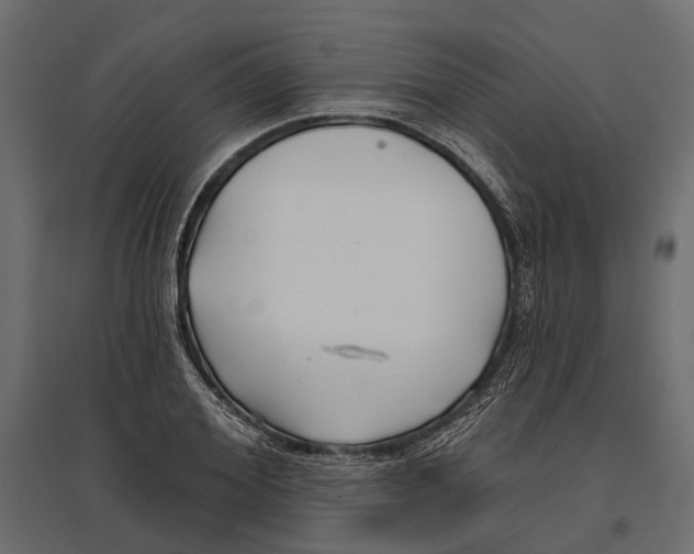 X0000096990980200803071049