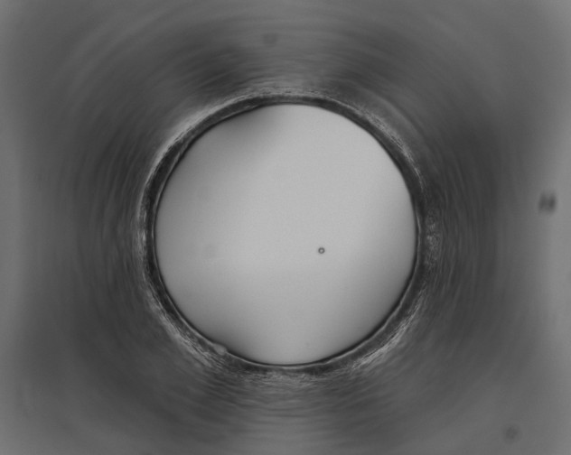 X0000096990981200803071049