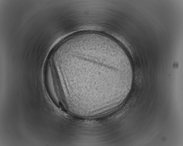 X0000096990983200803071049