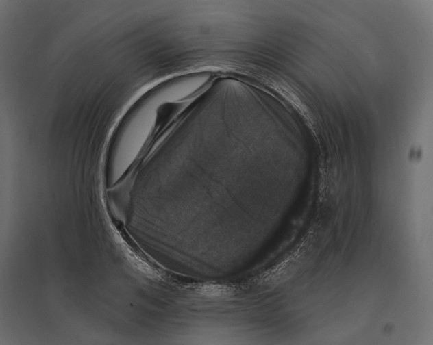 X0000096990984200803071049