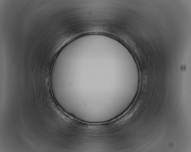 X0000096990985200803071049