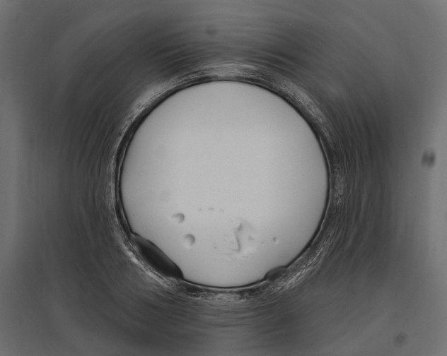 X0000096990986200803071049