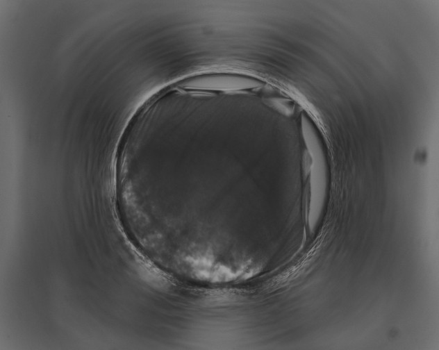 X0000096990988200803071049