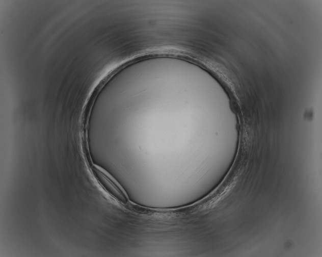 X0000096990989200803071049