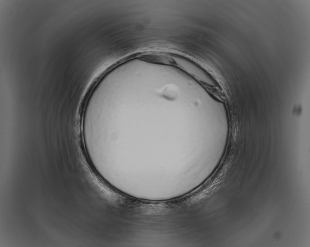 X0000096990990200803071049