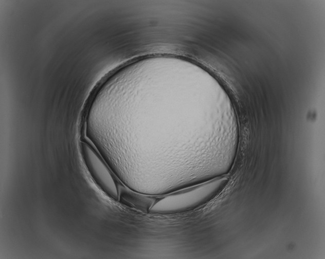 X0000096990991200803071049