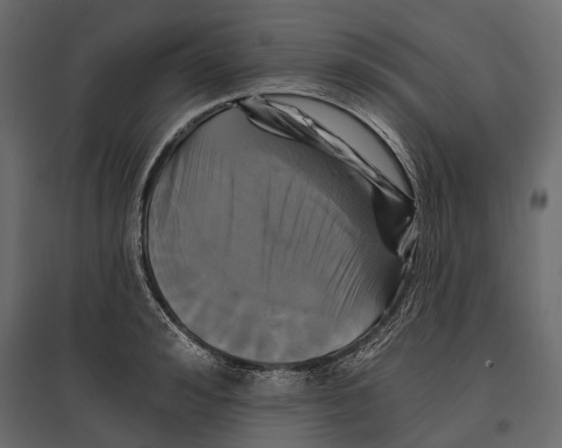 X0000096990992200803071049