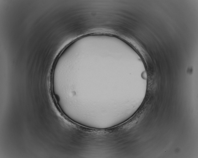 X0000096990999200803071049