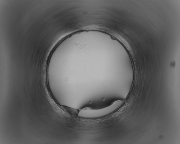 X0000096991000200803071049