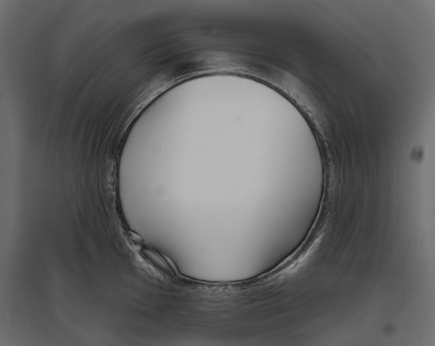 X0000096991001200803071049