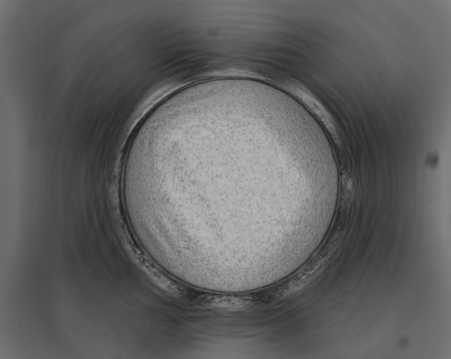 X0000096991002200803071049